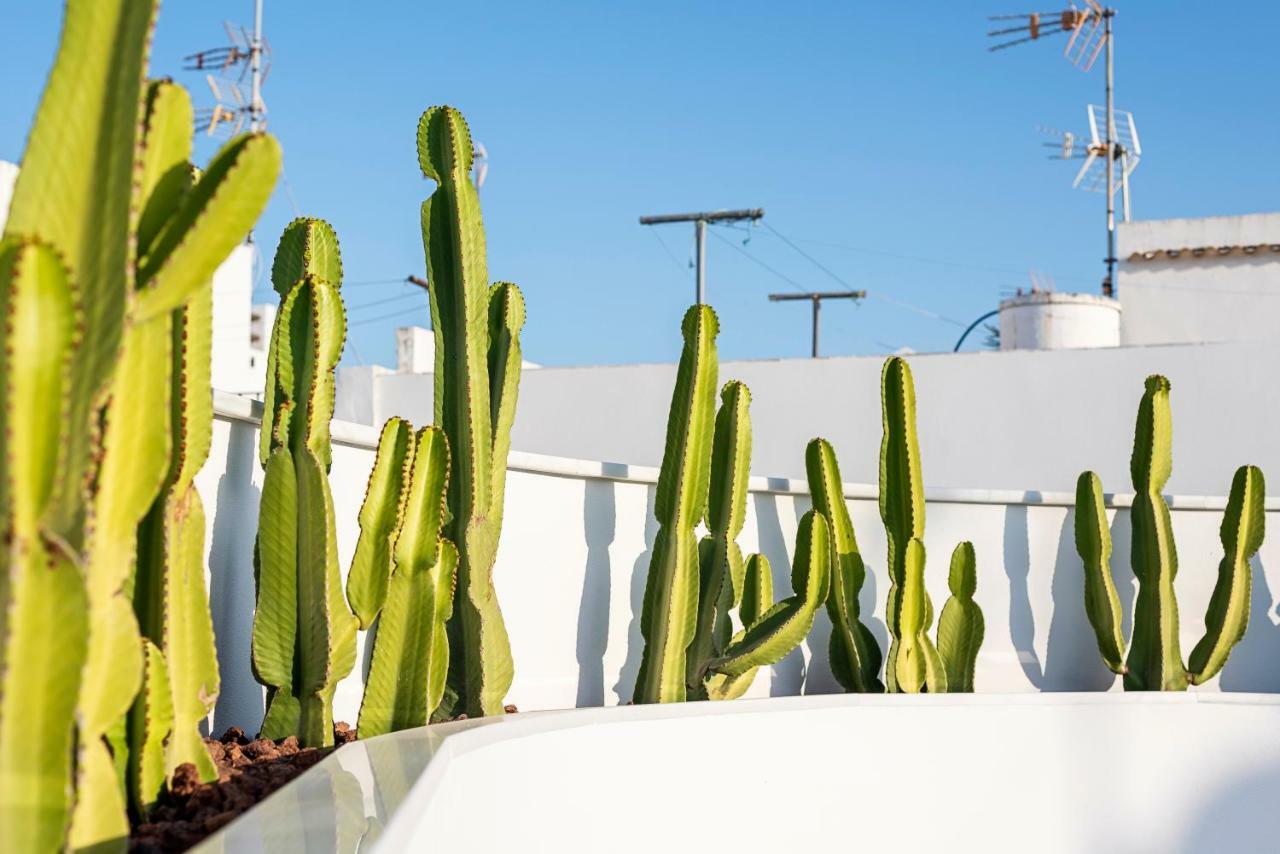 Apartamentos y estudios céntricos Conil Home Suite Conil De La Frontera Extérieur photo